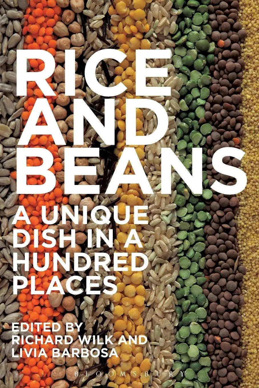 Cover: 9781847889041 | Rice and Beans | Richard Wilk | Taschenbuch | Kartoniert / Broschiert