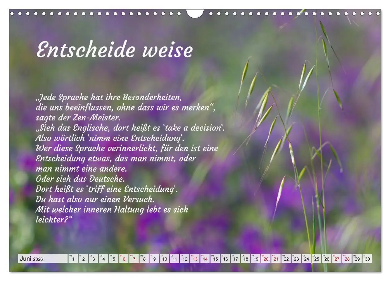 Bild: 9783457529041 | Und der Zen-Meister sprach (Wandkalender 2026 DIN A3 quer),...