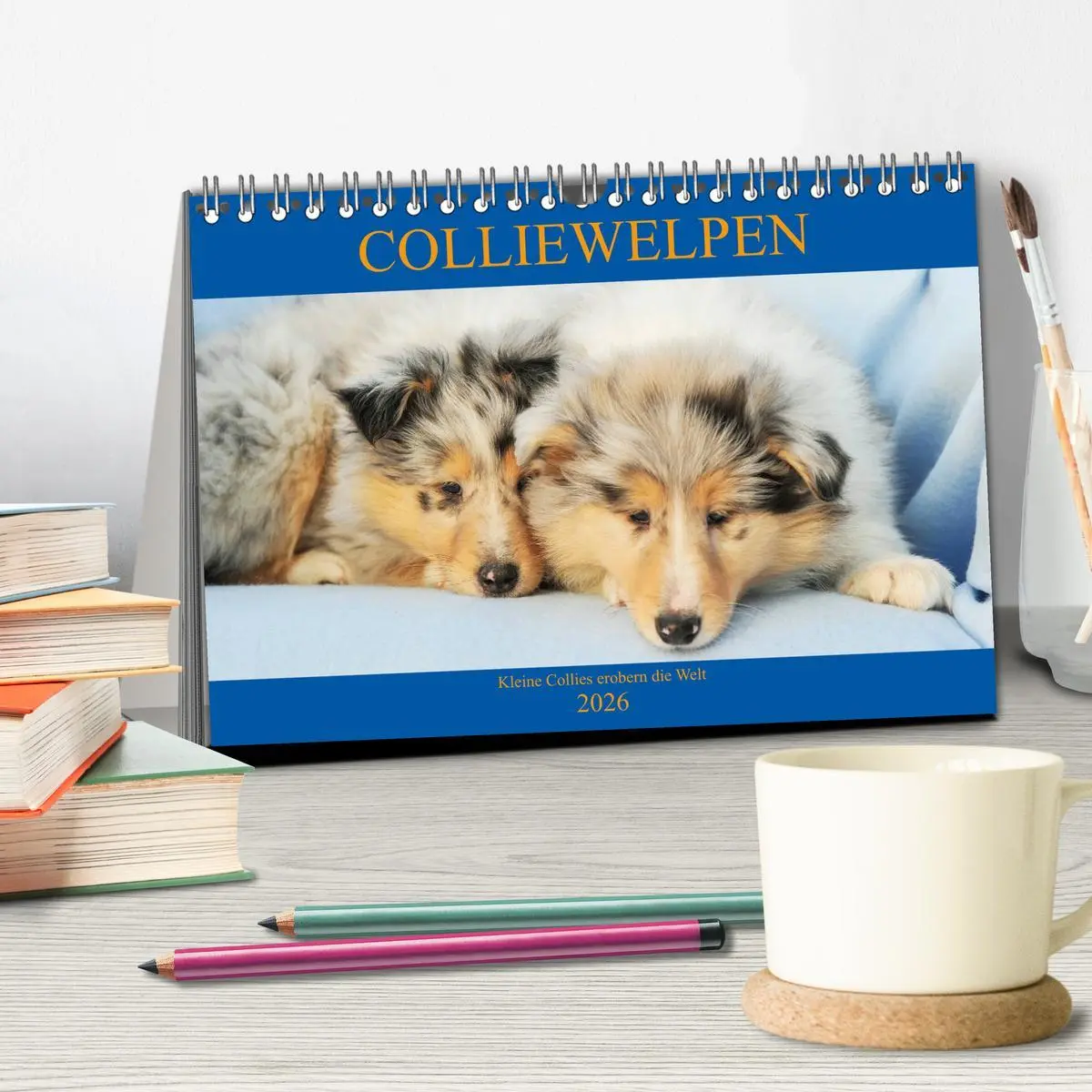 Bild: 9783457699041 | Colliewelpen - kleine Collies erobern die Welt (Tischkalender 2026...
