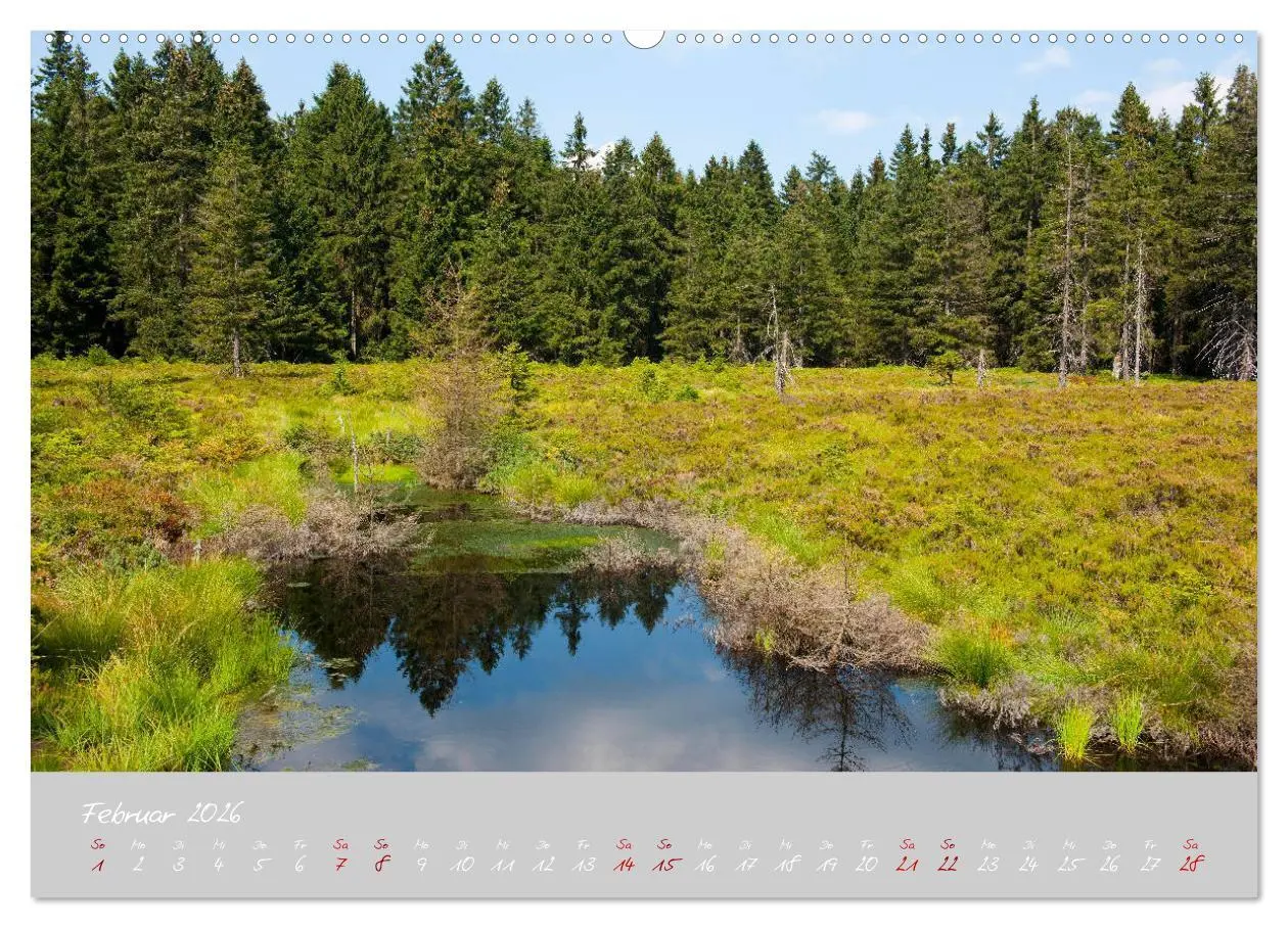 Bild: 9783457769041 | Thüringer Wald Das Grüne Herz Deutschlands (Wandkalender 2026 DIN...