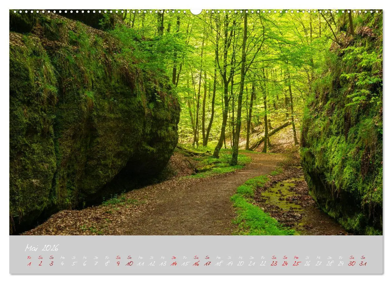 Bild: 9783457769041 | Thüringer Wald Das Grüne Herz Deutschlands (Wandkalender 2026 DIN...