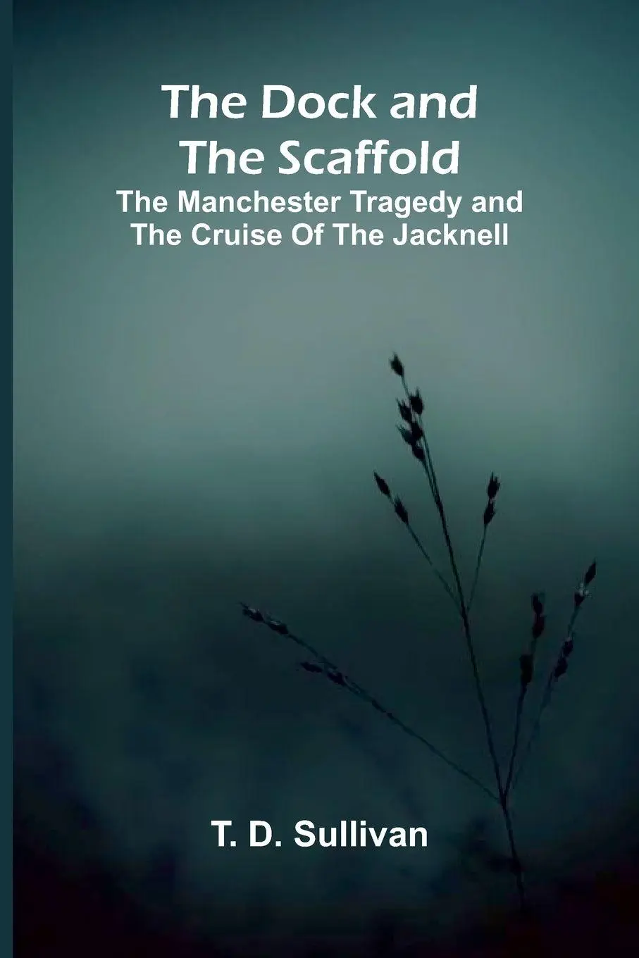 Cover: 9789369059041 | The Dock and the Scaffold; The Manchester Tragedy and the Cruise of...
