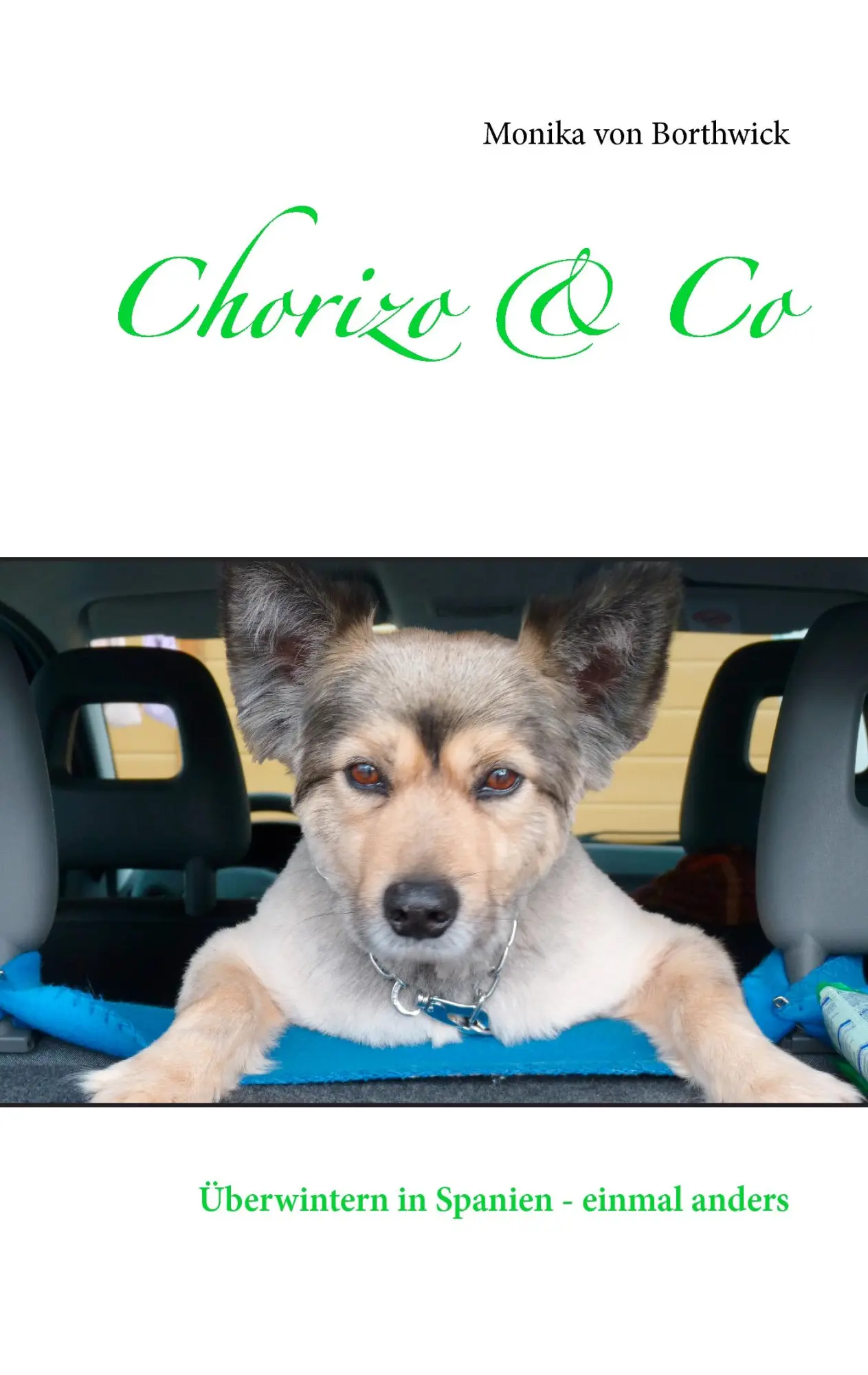 Cover: 9783739219141 | Chorizo &amp; Co | Überwintern in Spanien - einmal anders | Borthwick