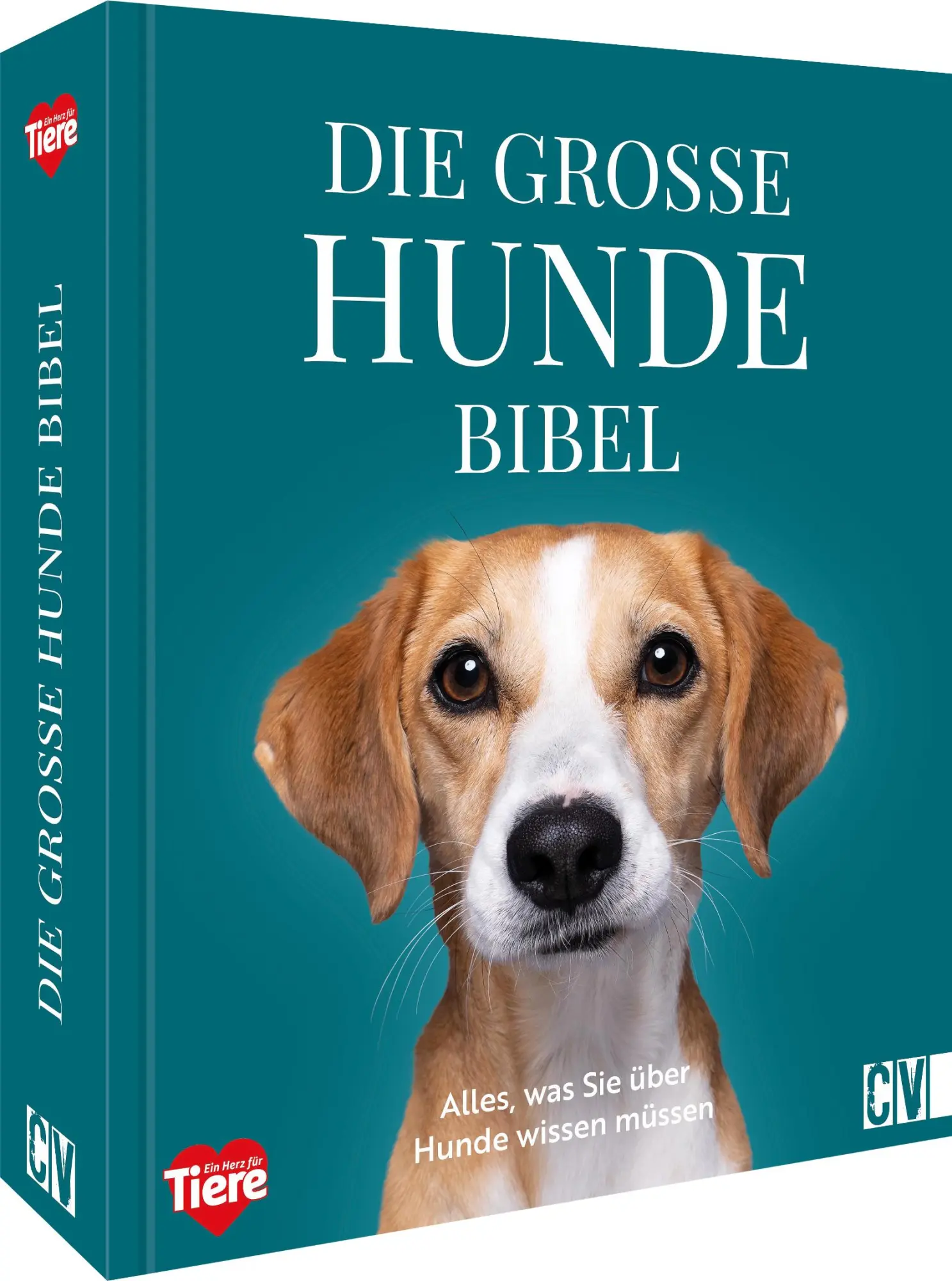 Cover: 9783838839141 | Die große Hundebibel | Alles, was Sie über Hunde wissen müssen | Buch