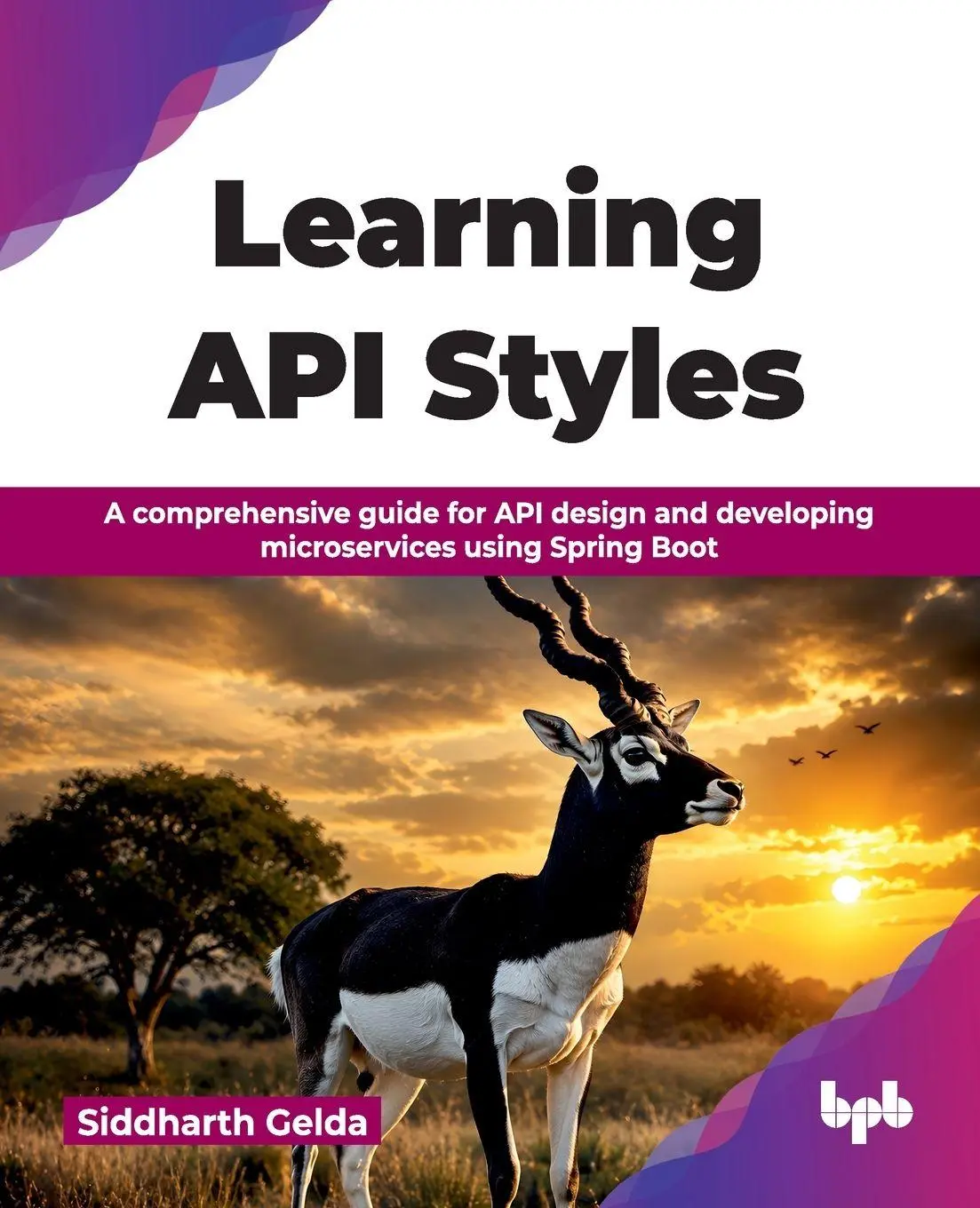 Cover: 9788169619141 | Learning API Styles | Siddharth Gelda | Taschenbuch | Englisch | 2026