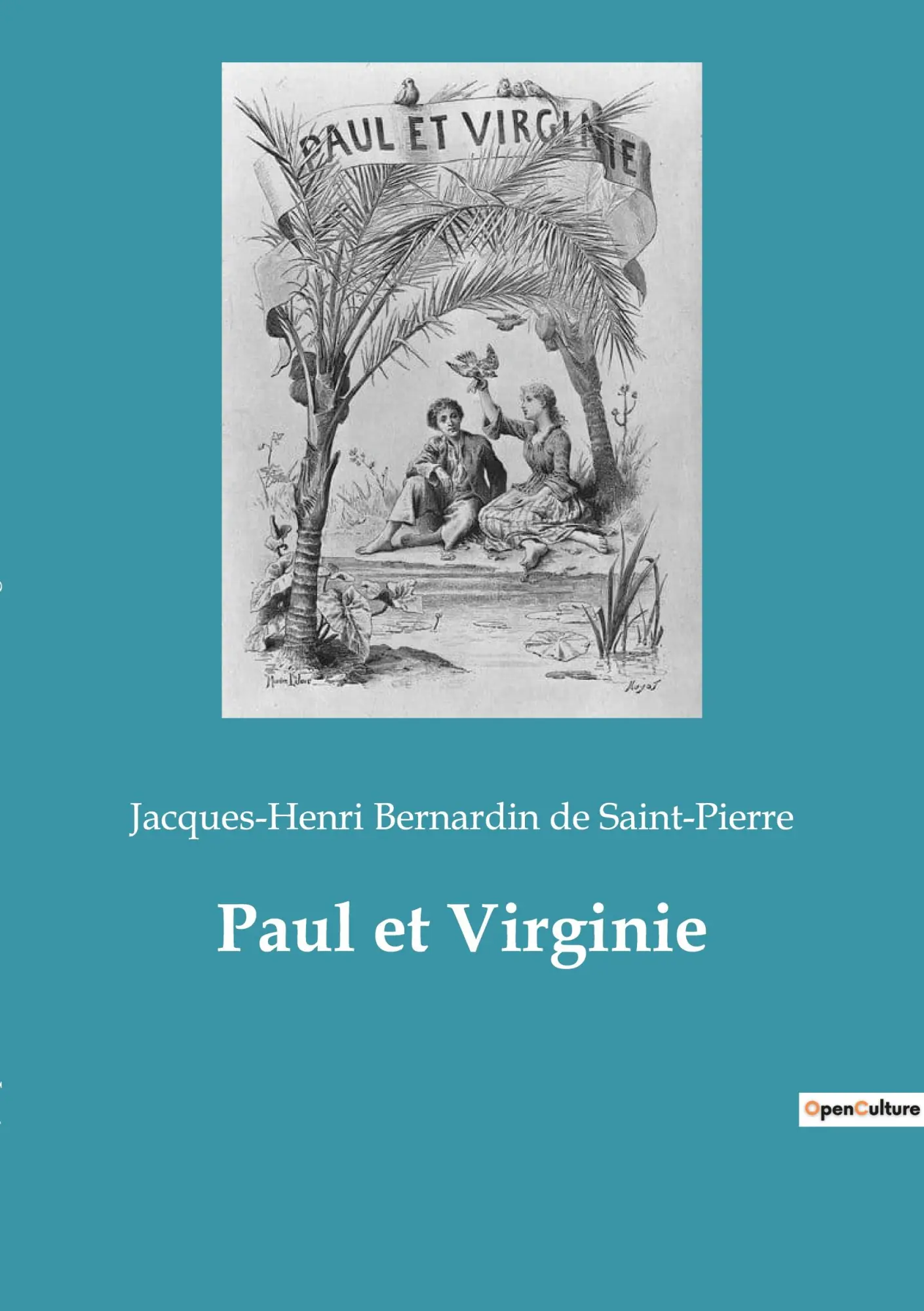 Cover: 9782382749241 | Paul et Virginie | Jacques-Henri Bernardin de Saint-Pierre | Buch