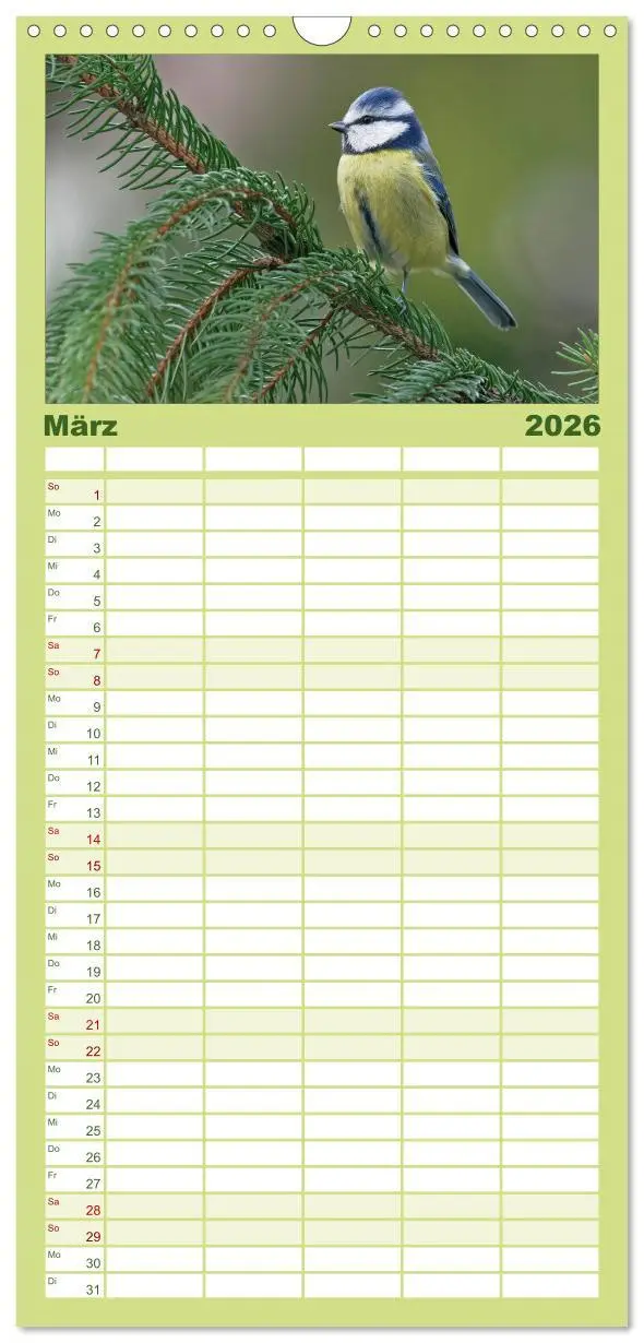 Bild: 9783516519341 | Familienplaner 2026 - Heimische Gartenvögel mit 5 Spalten...