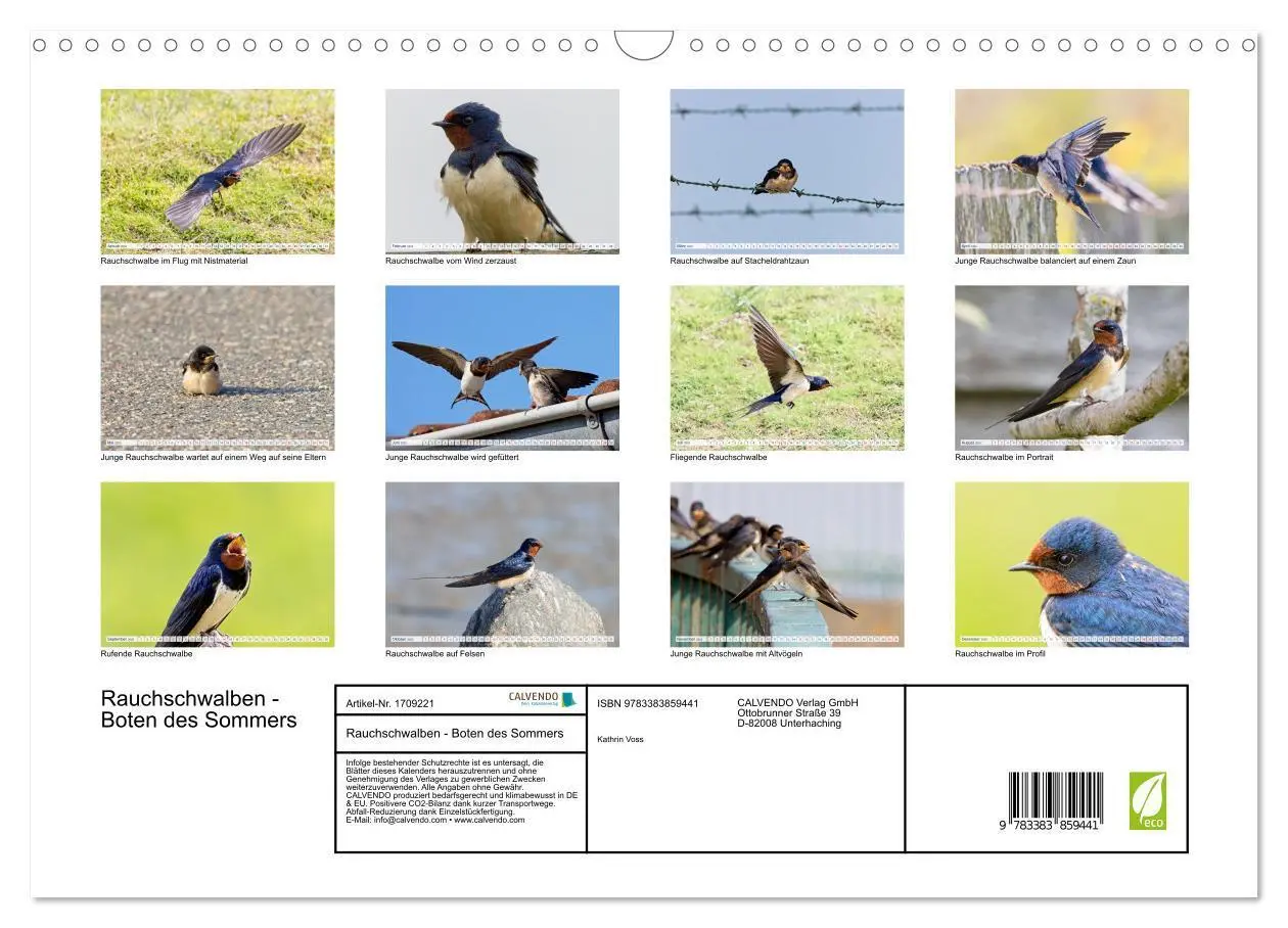 Bild: 9783383859441 | Rauchschwalben - Boten des Sommers (Wandkalender 2025 DIN A3 quer),...
