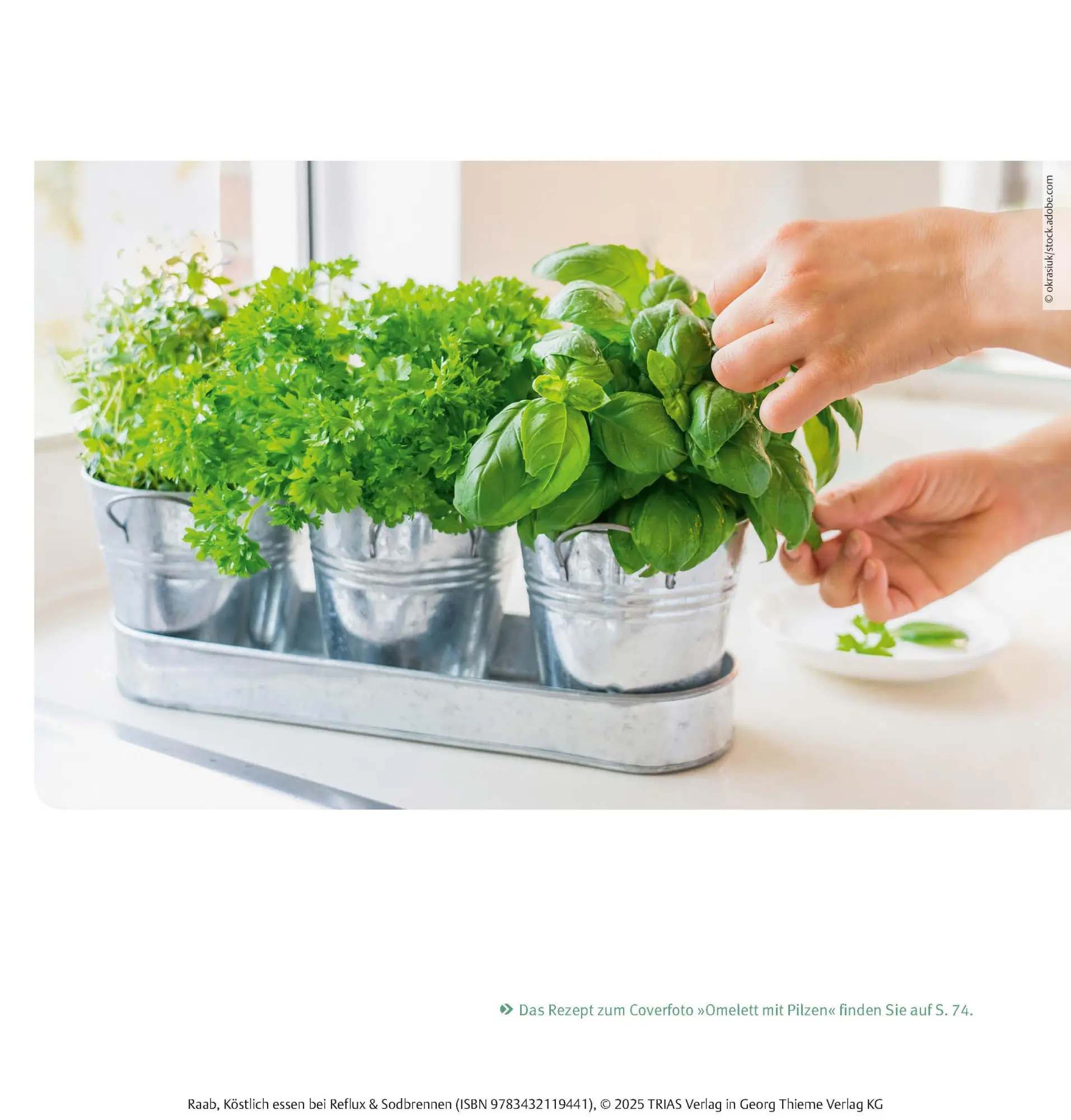 Bild: 9783432119441 | Köstlich essen Reflux und Sodbrennen | Heike Raab | Taschenbuch | 2025