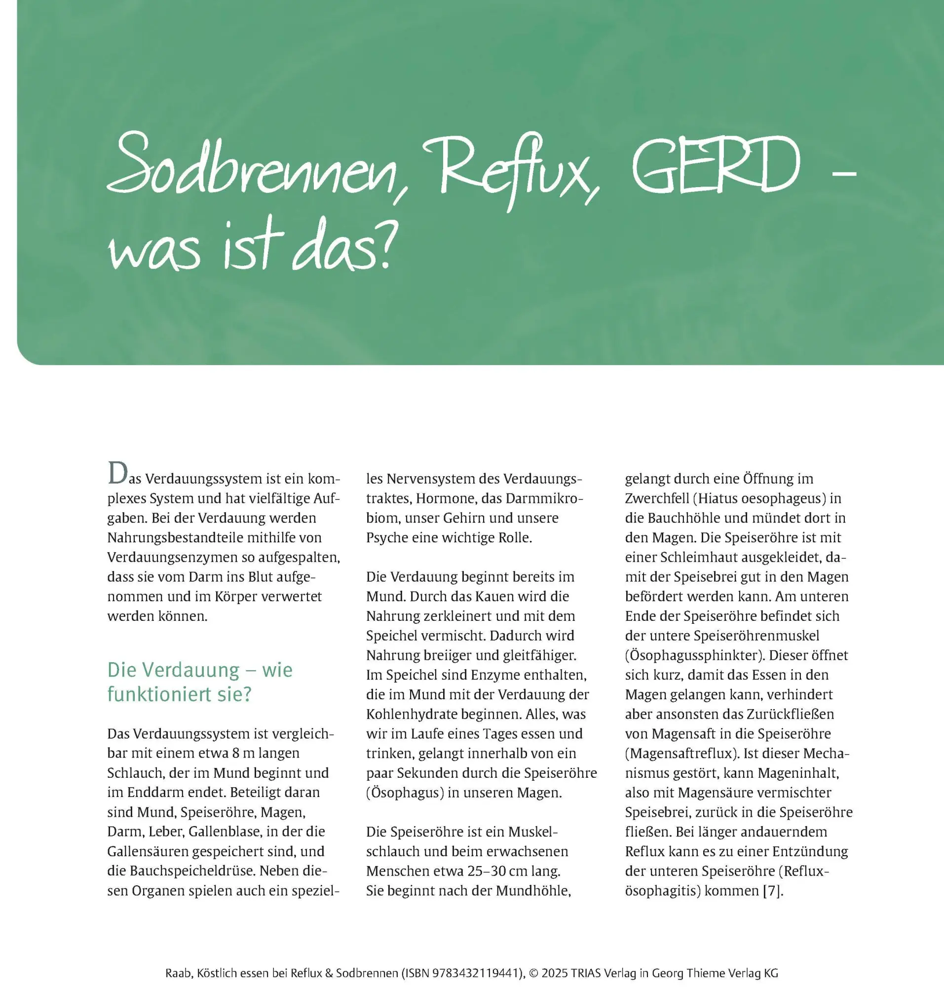 Bild: 9783432119441 | Köstlich essen Reflux und Sodbrennen | Heike Raab | Taschenbuch | 2025