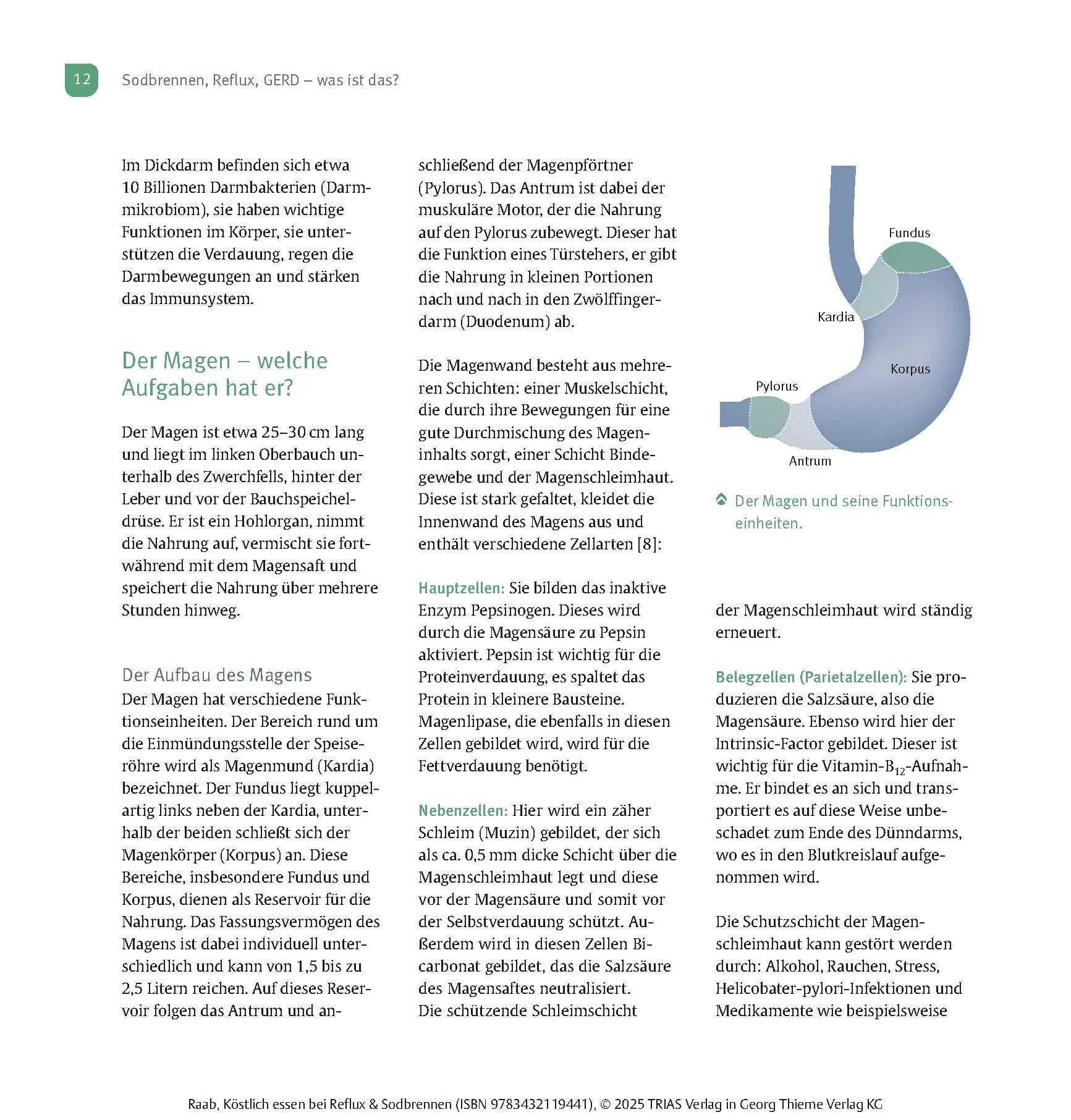 Bild: 9783432119441 | Köstlich essen Reflux und Sodbrennen | Heike Raab | Taschenbuch | 2025