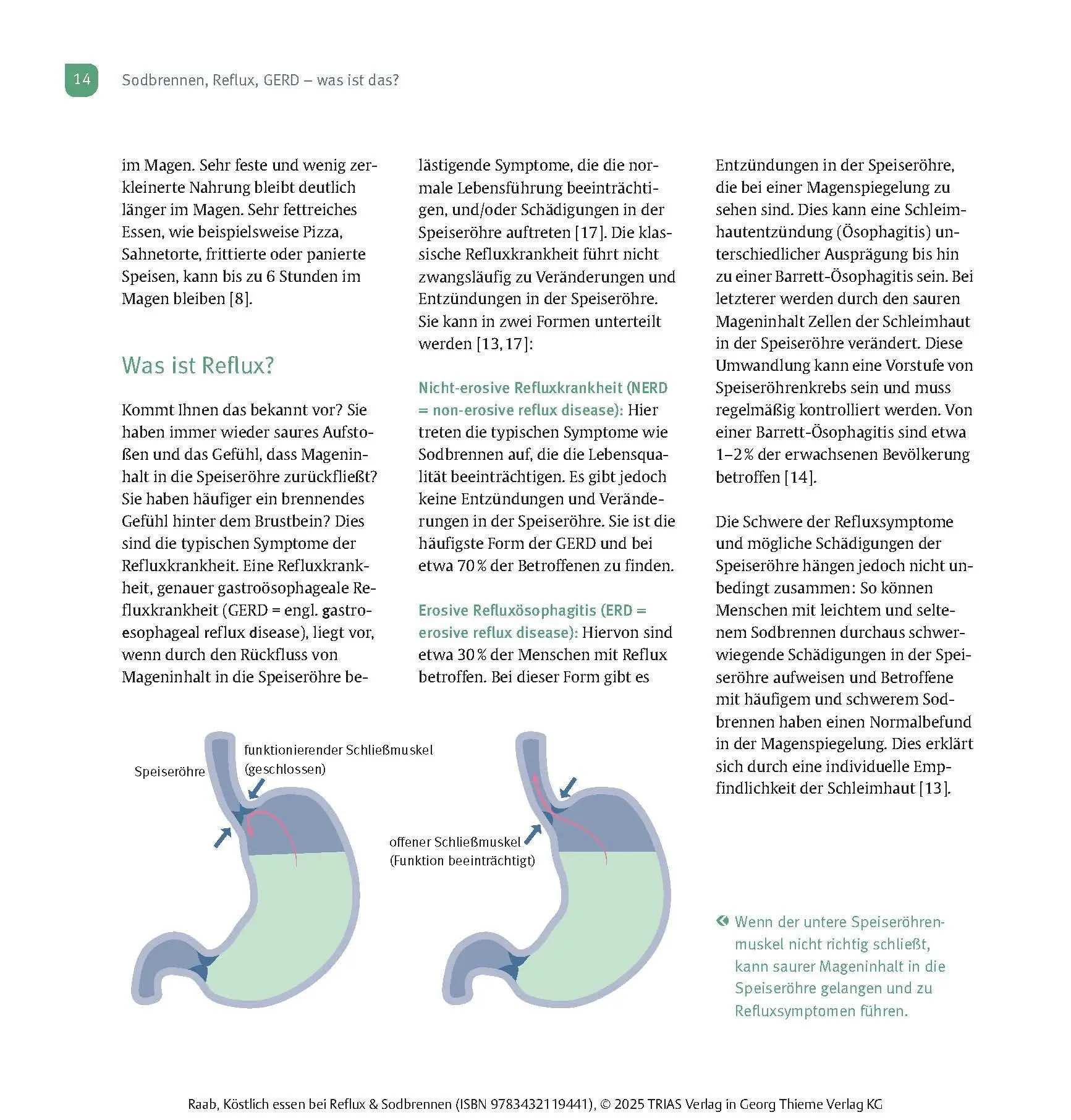 Bild: 9783432119441 | Köstlich essen Reflux und Sodbrennen | Heike Raab | Taschenbuch | 2025
