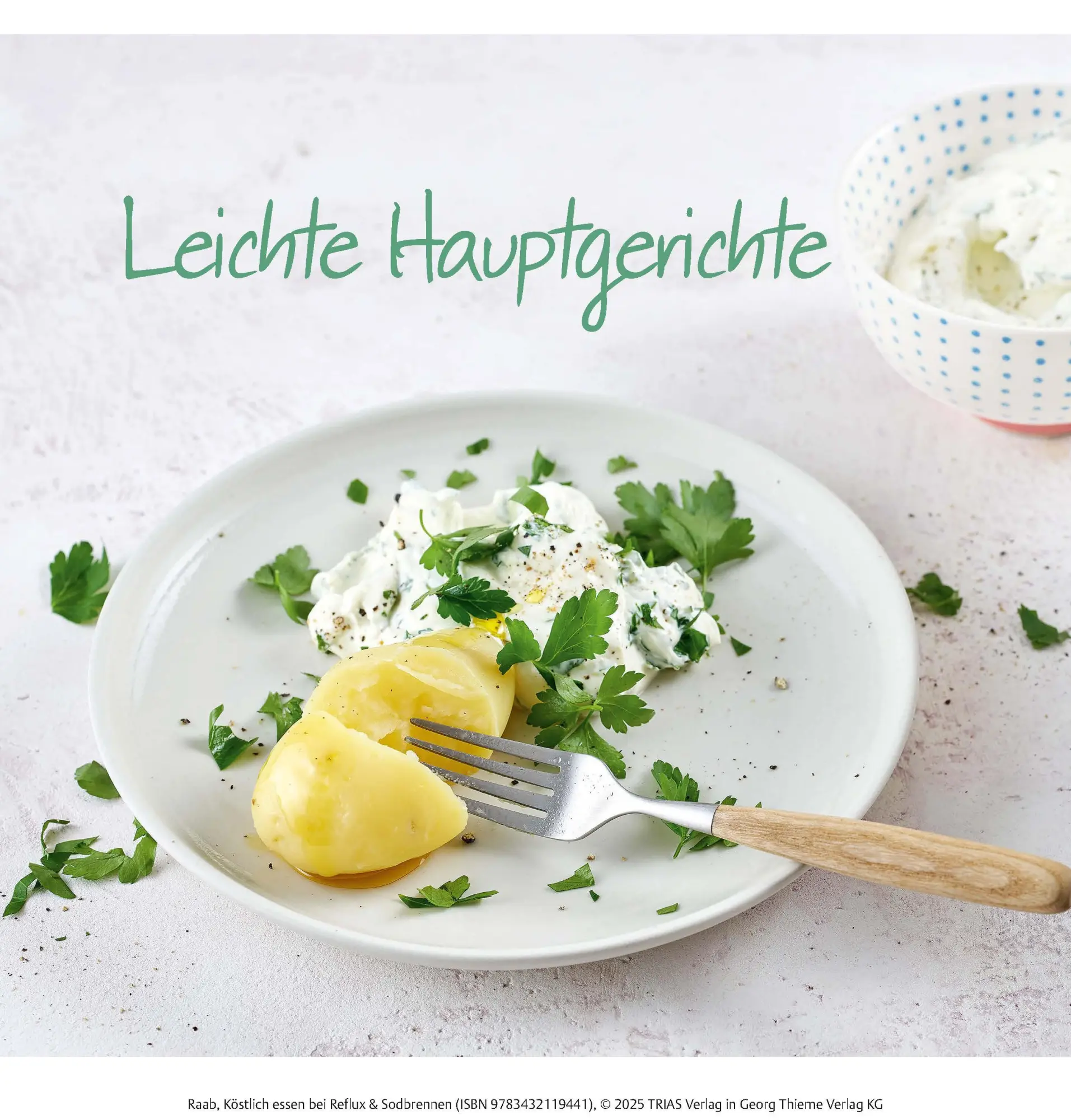 Bild: 9783432119441 | Köstlich essen Reflux und Sodbrennen | Heike Raab | Taschenbuch | 2025