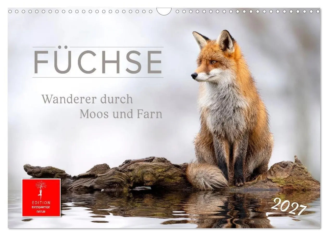 Cover: 9783516819441 | Füchse - Wanderer durch Moos und Farn (Wandkalender 2027 DIN A3...