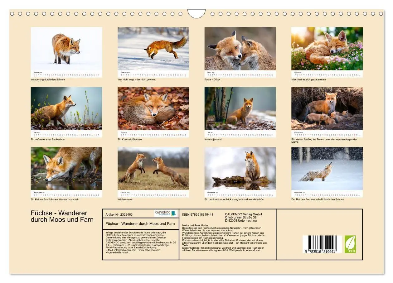 Bild: 9783516819441 | Füchse - Wanderer durch Moos und Farn (Wandkalender 2027 DIN A3...