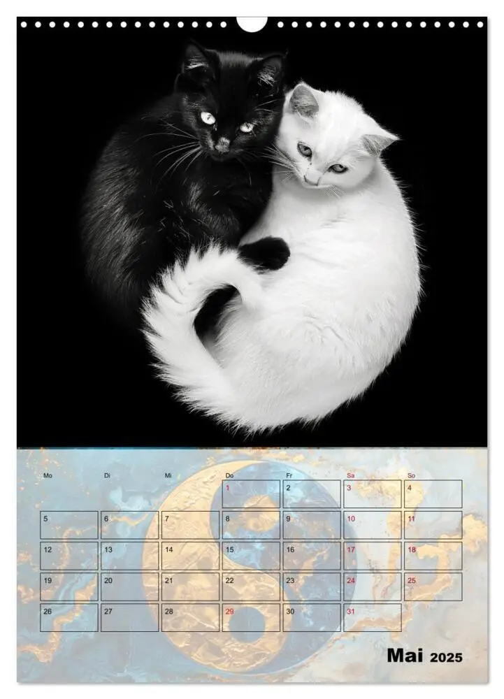 Bild: 9783435939541 | Sei das Yin zu meinem Yang (Wandkalender 2025 DIN A3 hoch),...
