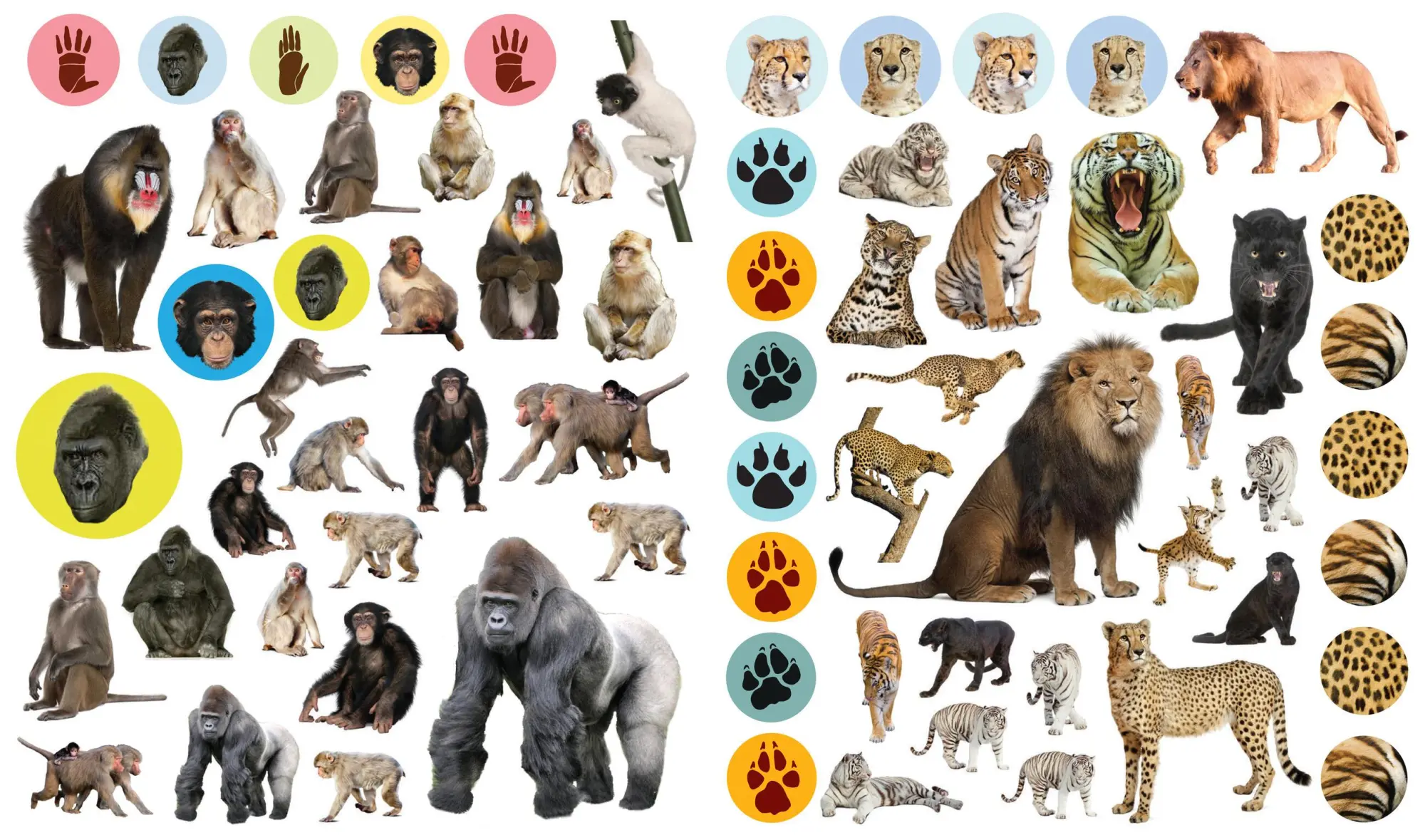Bild: 9780761179641 | Eyelike Stickers: Wild Animals | Workman Publishing | Broschüre | 2014