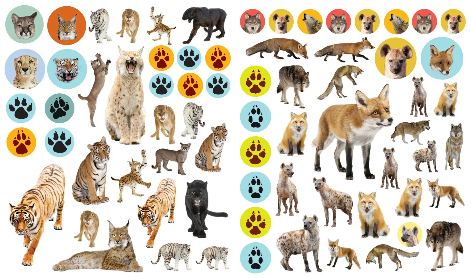 Bild: 9780761179641 | Eyelike Stickers: Wild Animals | Workman Publishing | Broschüre | 2014