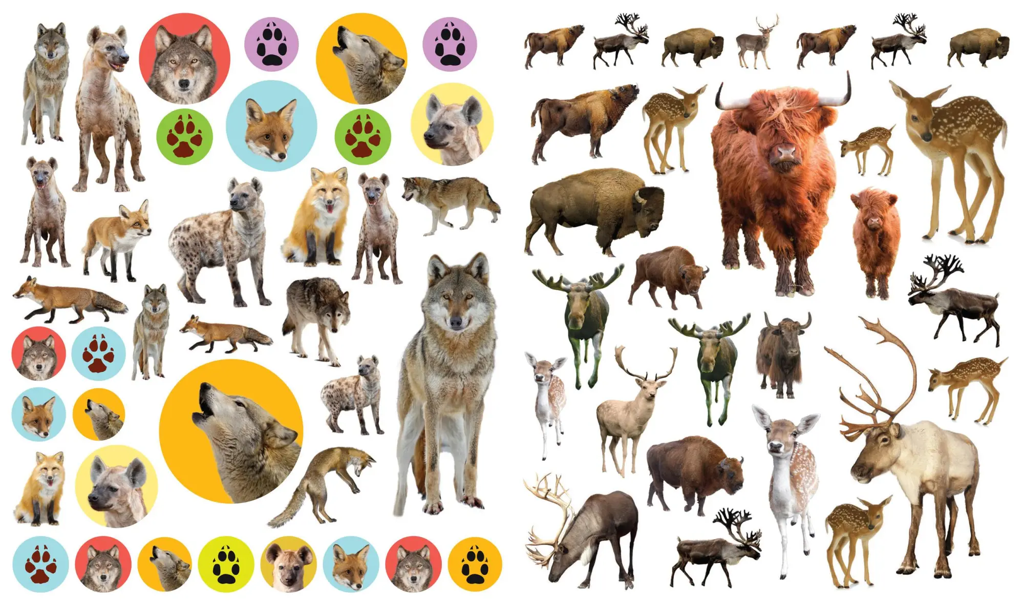 Bild: 9780761179641 | Eyelike Stickers: Wild Animals | Workman Publishing | Broschüre | 2014