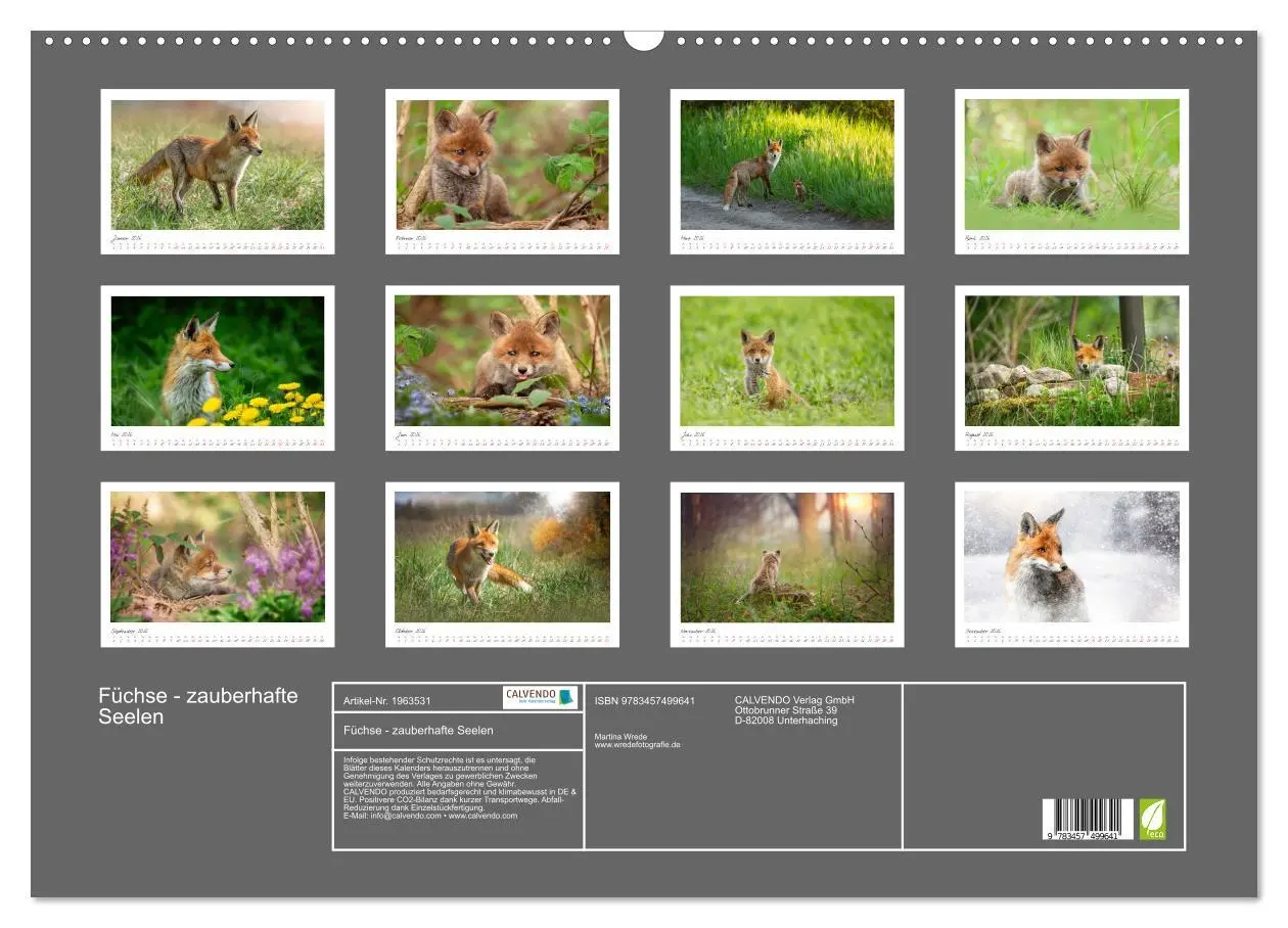 Bild: 9783457499641 | Füchse - zauberhafte Seelen (Wandkalender 2026 DIN A2 quer),...