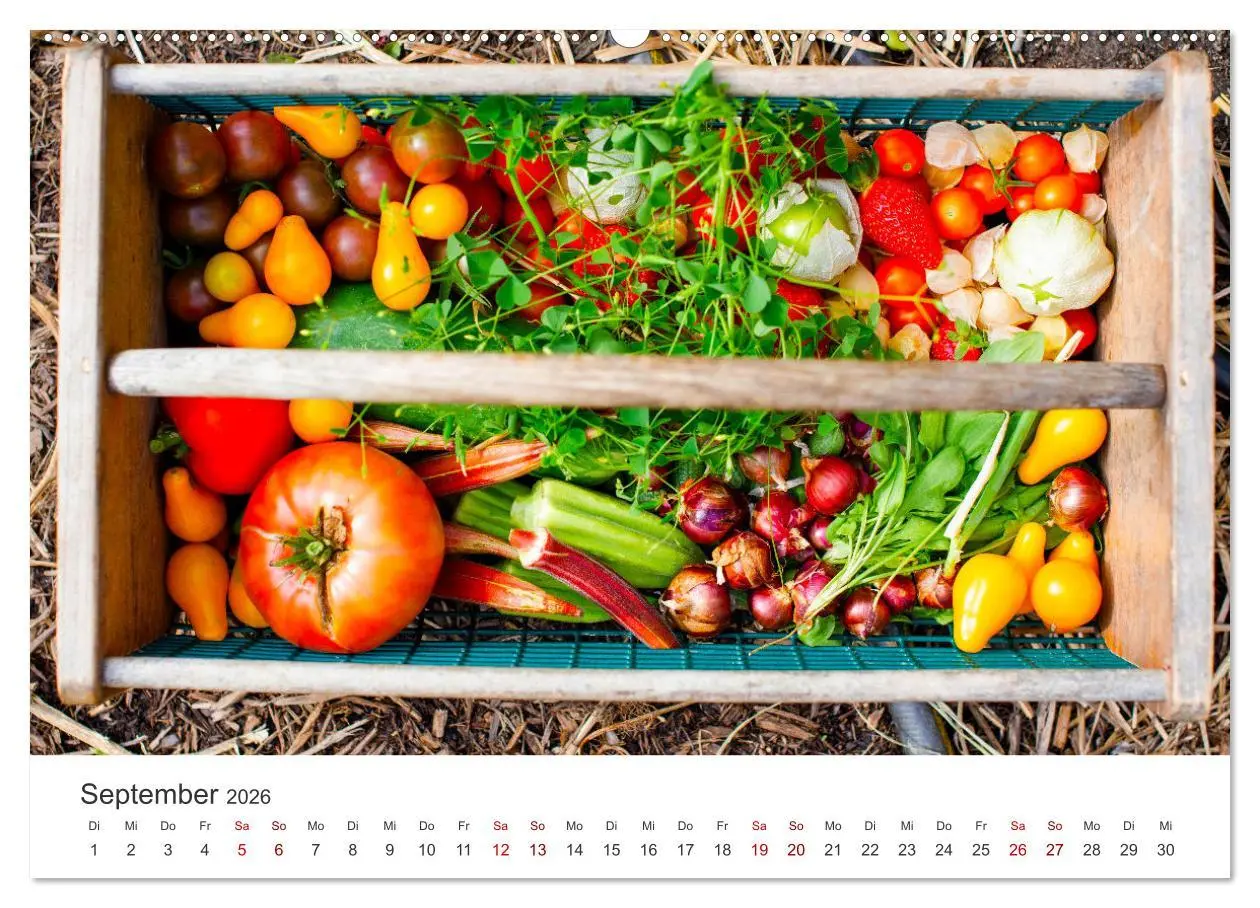 Bild: 9783457559741 | Frisches aus dem Gemüsegarten (hochwertiger Premium Wandkalender...