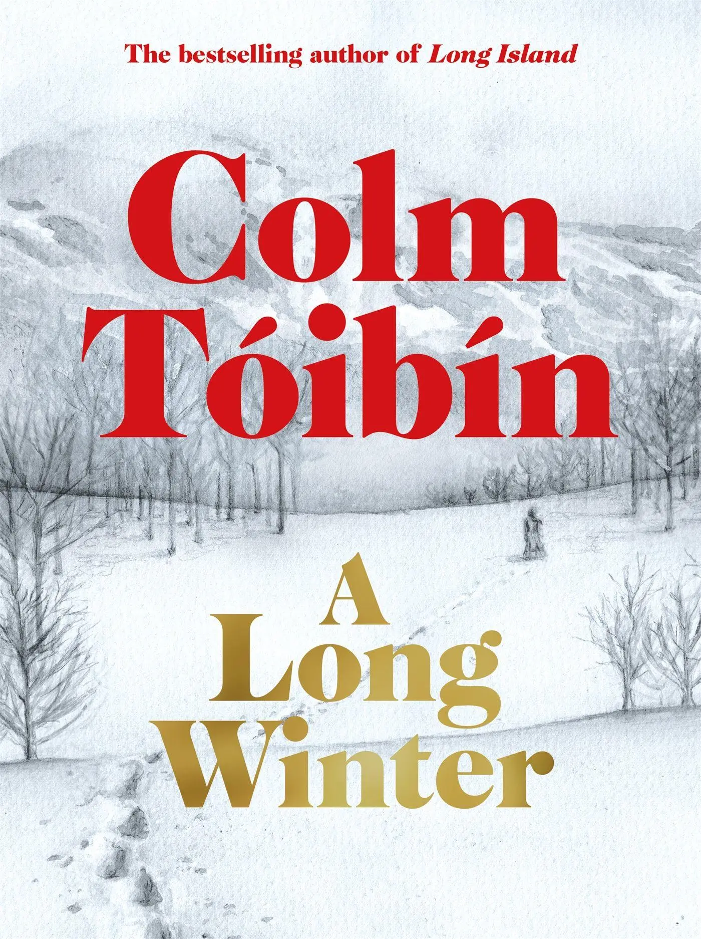 Cover: 9781035079841 | A Long Winter | Colm Tóibín | Buch | 144 S. | Englisch | 2025