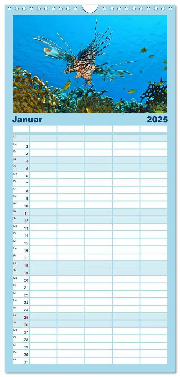 Bild: 9783457099841 | Familienplaner 2025 - Abenteuer Riff - bunte Unterwasserwelt mit 5...