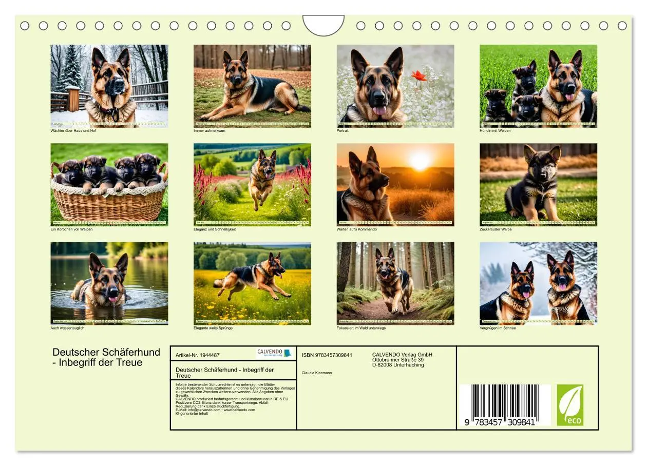 Bild: 9783457309841 | Deutscher Schäferhund - Inbegriff der Treue (Wandkalender 2026 DIN...