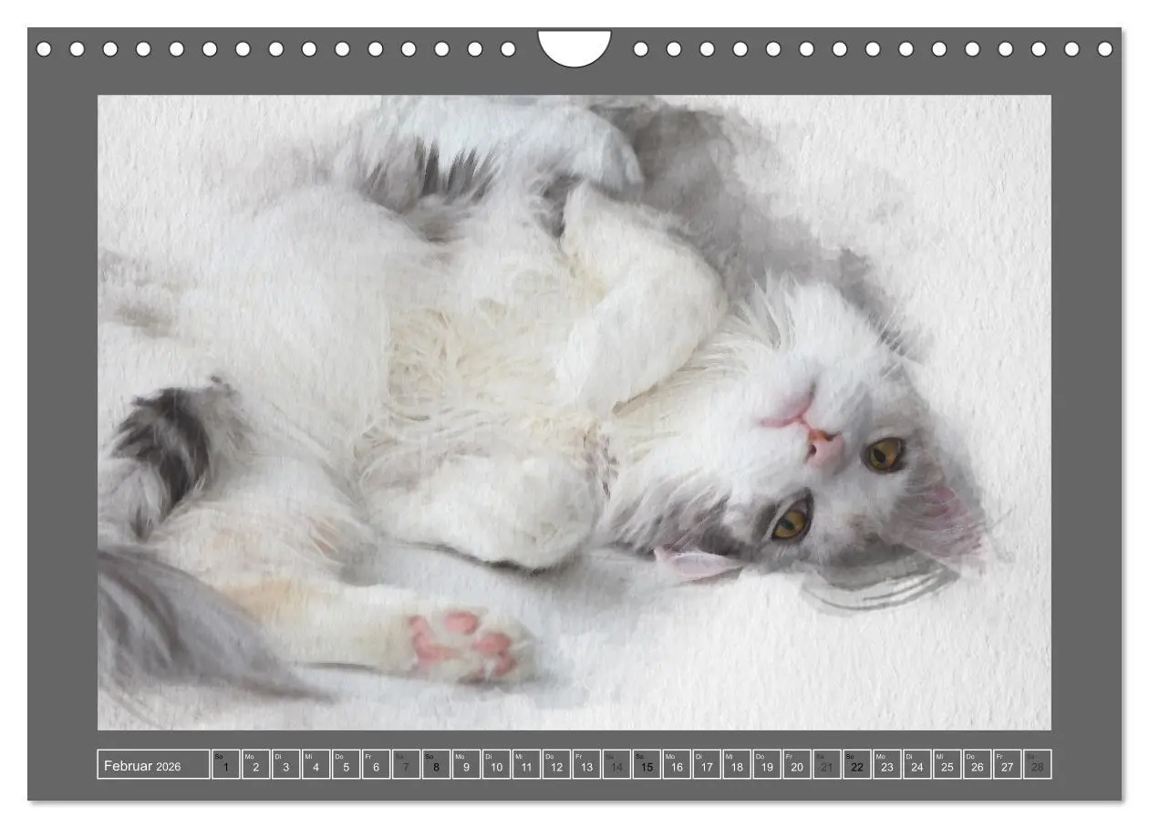 Bild: 9783457619841 | Maine Coon Aquarelle (Wandkalender 2026 DIN A4 quer), CALVENDO...