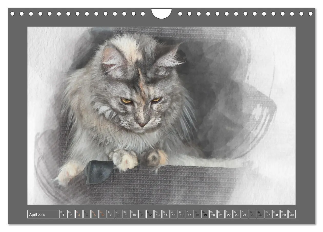 Bild: 9783457619841 | Maine Coon Aquarelle (Wandkalender 2026 DIN A4 quer), CALVENDO...