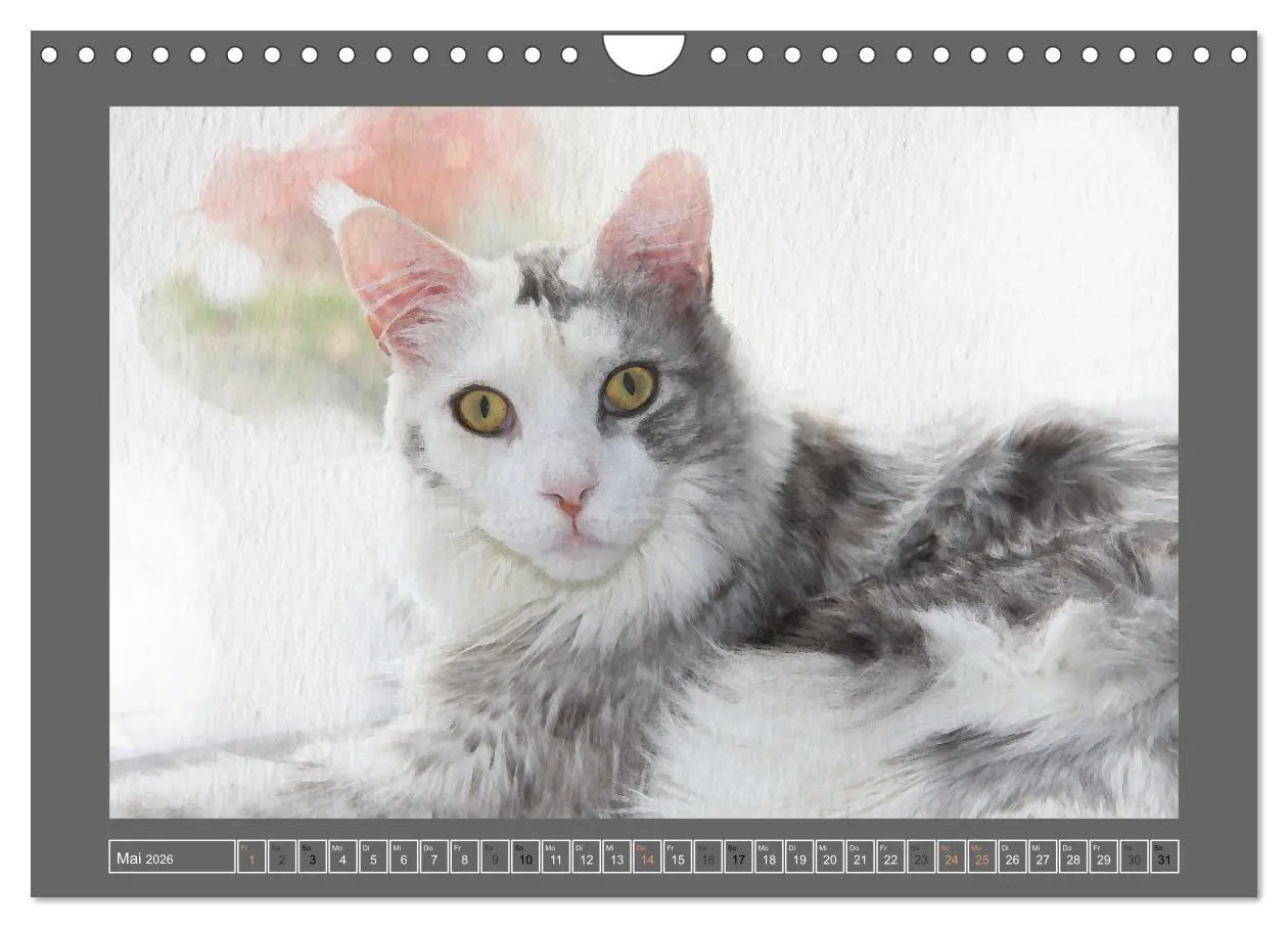 Bild: 9783457619841 | Maine Coon Aquarelle (Wandkalender 2026 DIN A4 quer), CALVENDO...