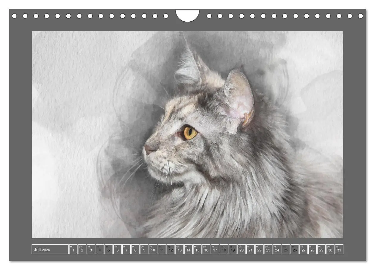 Bild: 9783457619841 | Maine Coon Aquarelle (Wandkalender 2026 DIN A4 quer), CALVENDO...