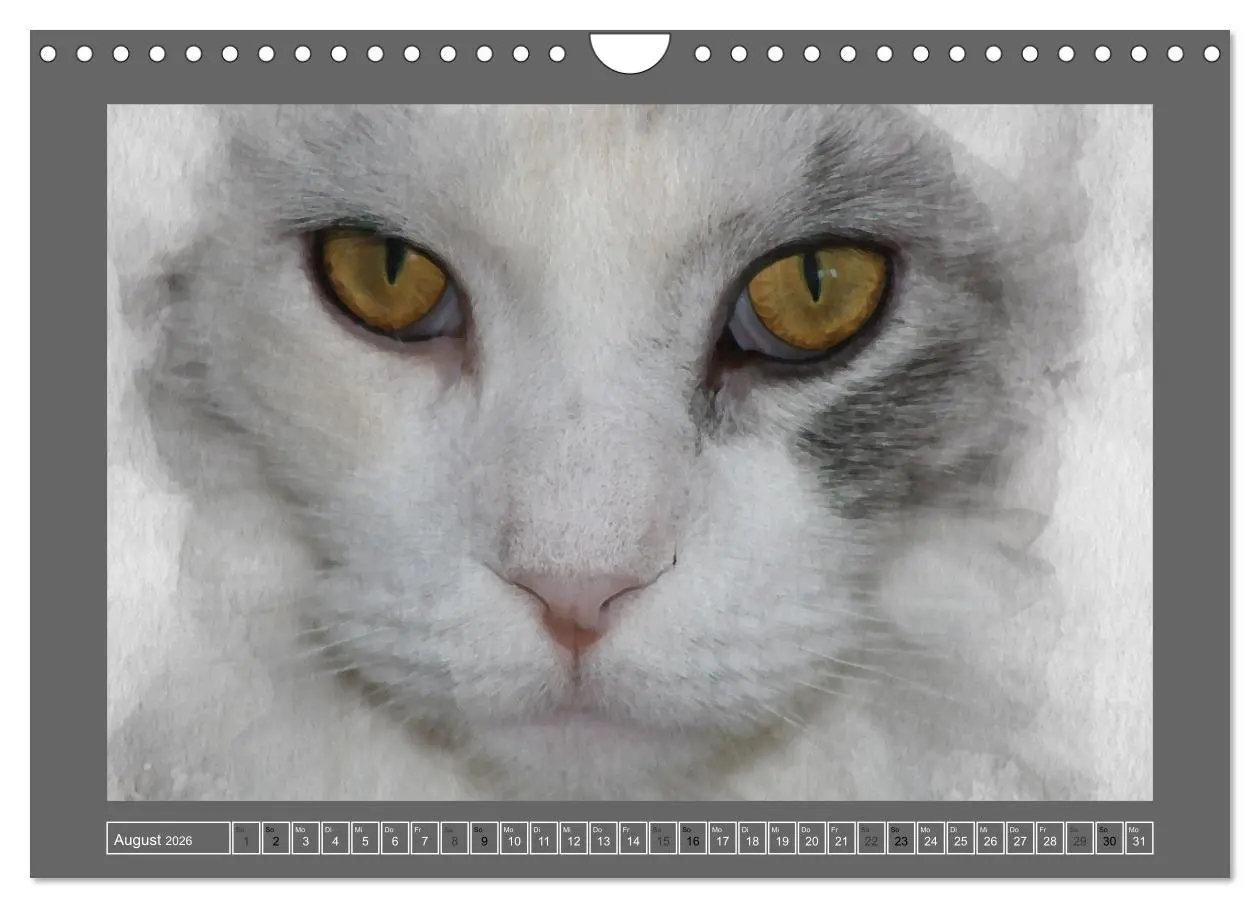 Bild: 9783457619841 | Maine Coon Aquarelle (Wandkalender 2026 DIN A4 quer), CALVENDO...