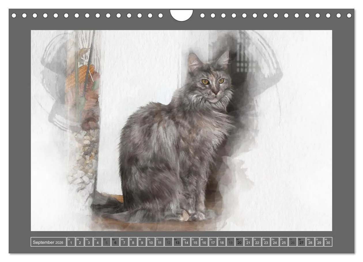 Bild: 9783457619841 | Maine Coon Aquarelle (Wandkalender 2026 DIN A4 quer), CALVENDO...