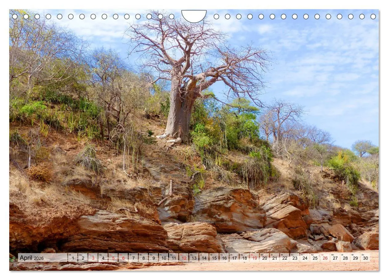 Bild: 9783457929841 | Tansania. Impressionen aus Ostafrika (Wandkalender 2026 DIN A4...