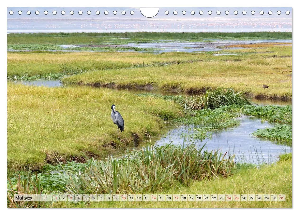 Bild: 9783457929841 | Tansania. Impressionen aus Ostafrika (Wandkalender 2026 DIN A4...
