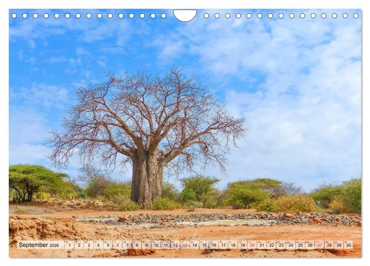Bild: 9783457929841 | Tansania. Impressionen aus Ostafrika (Wandkalender 2026 DIN A4...