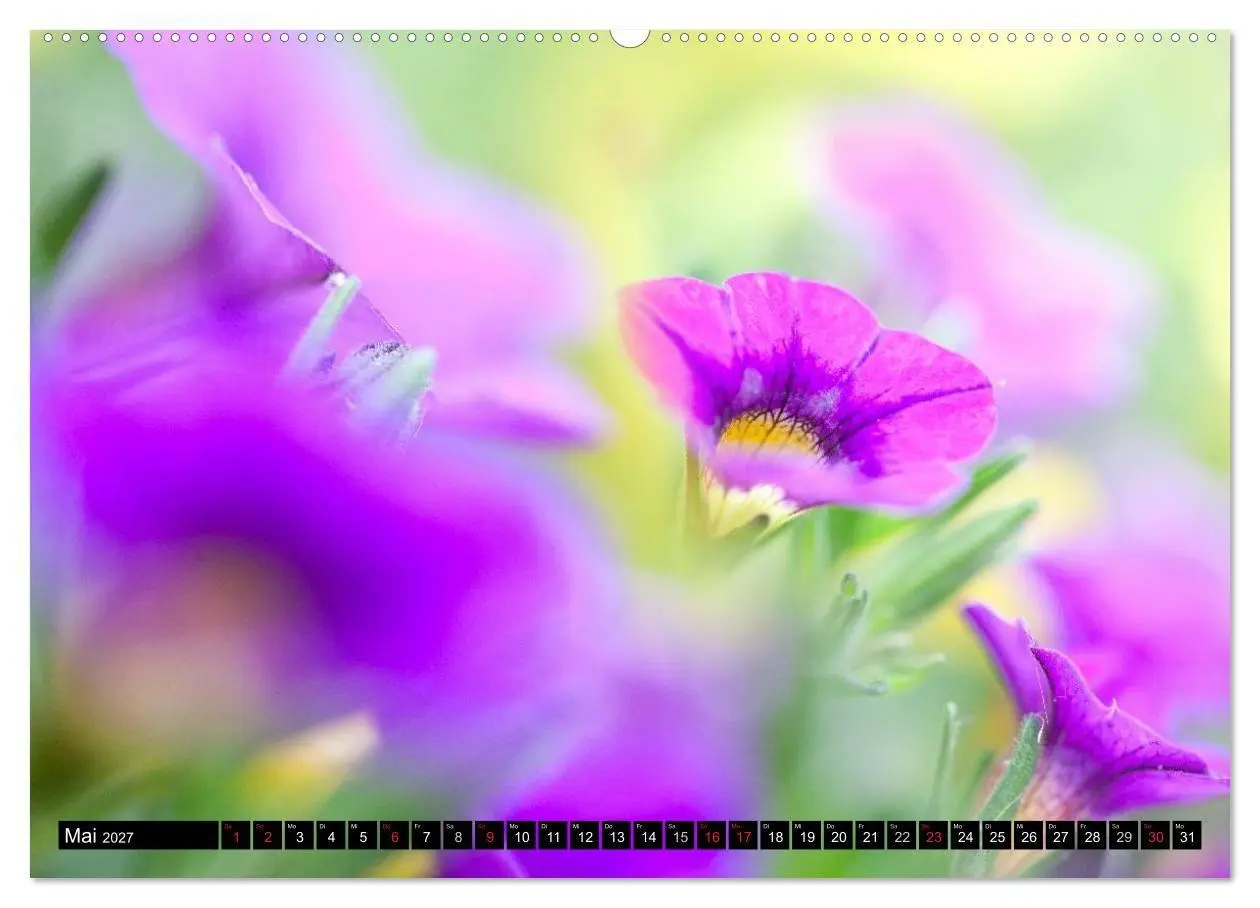 Bild: 9783594099841 | BLUMEN Zauber der Farben und Formen (Wandkalender 2027 DIN A2...