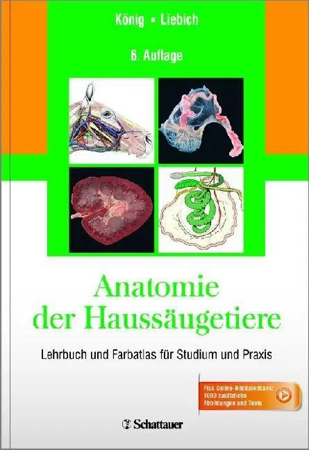 Cover: 9783794529841 | Anatomie der Haussäugetiere | Horst Erich König (u. a.) | Buch | 2014