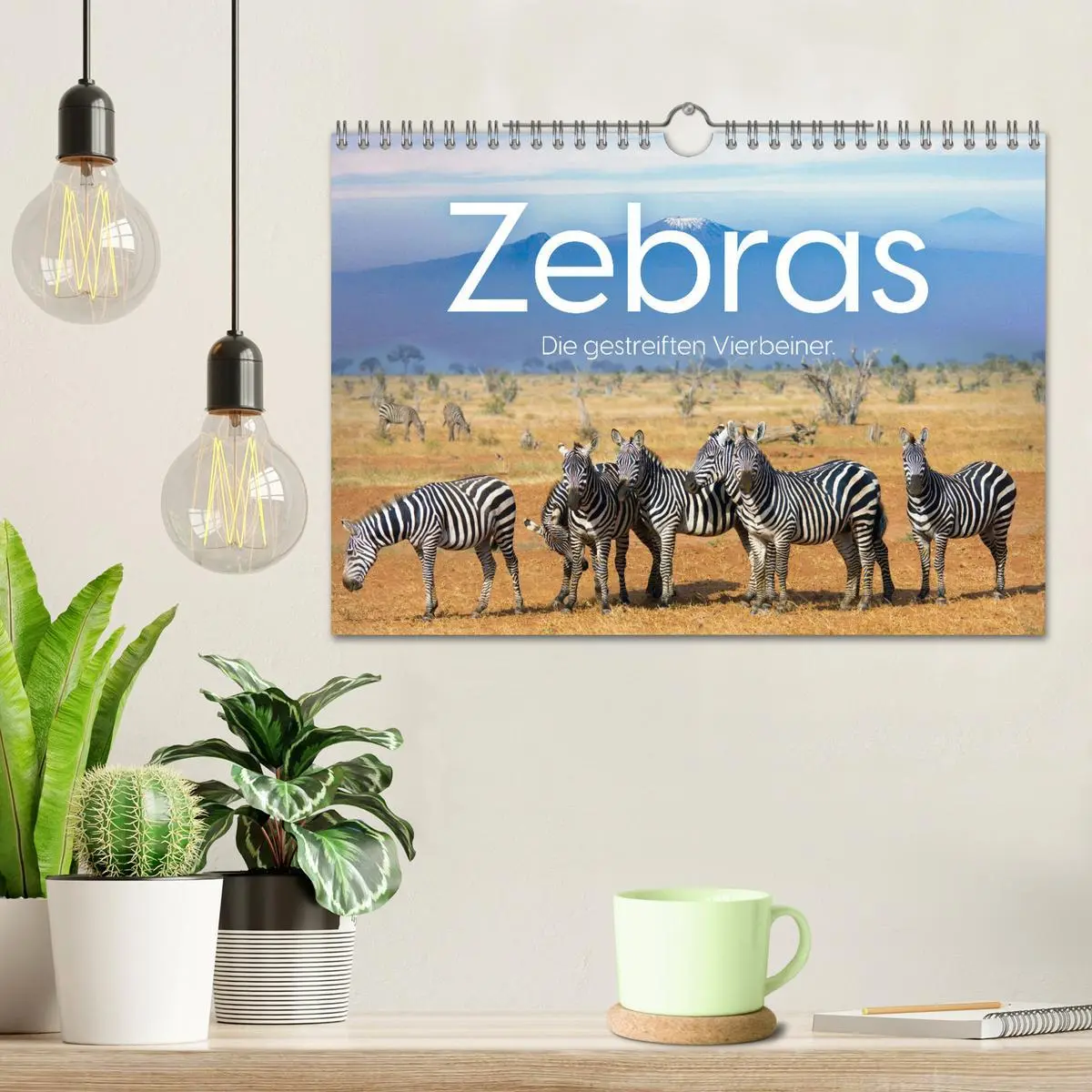 Bild: 9783457539941 | Zebras - Die gestreiften Vierbeiner. (Wandkalender 2026 DIN A4...