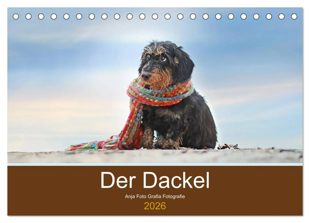Cover: 9783457720042 | Der Dackel (Tischkalender 2026 DIN A5 quer), CALVENDO Monatskalender