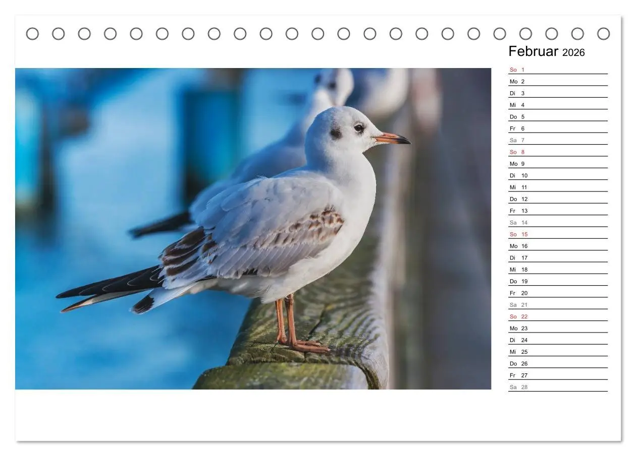 Bild: 9783457960042 | Ostseebad Binz - Zeit für Erholung (Tischkalender 2026 DIN A5...