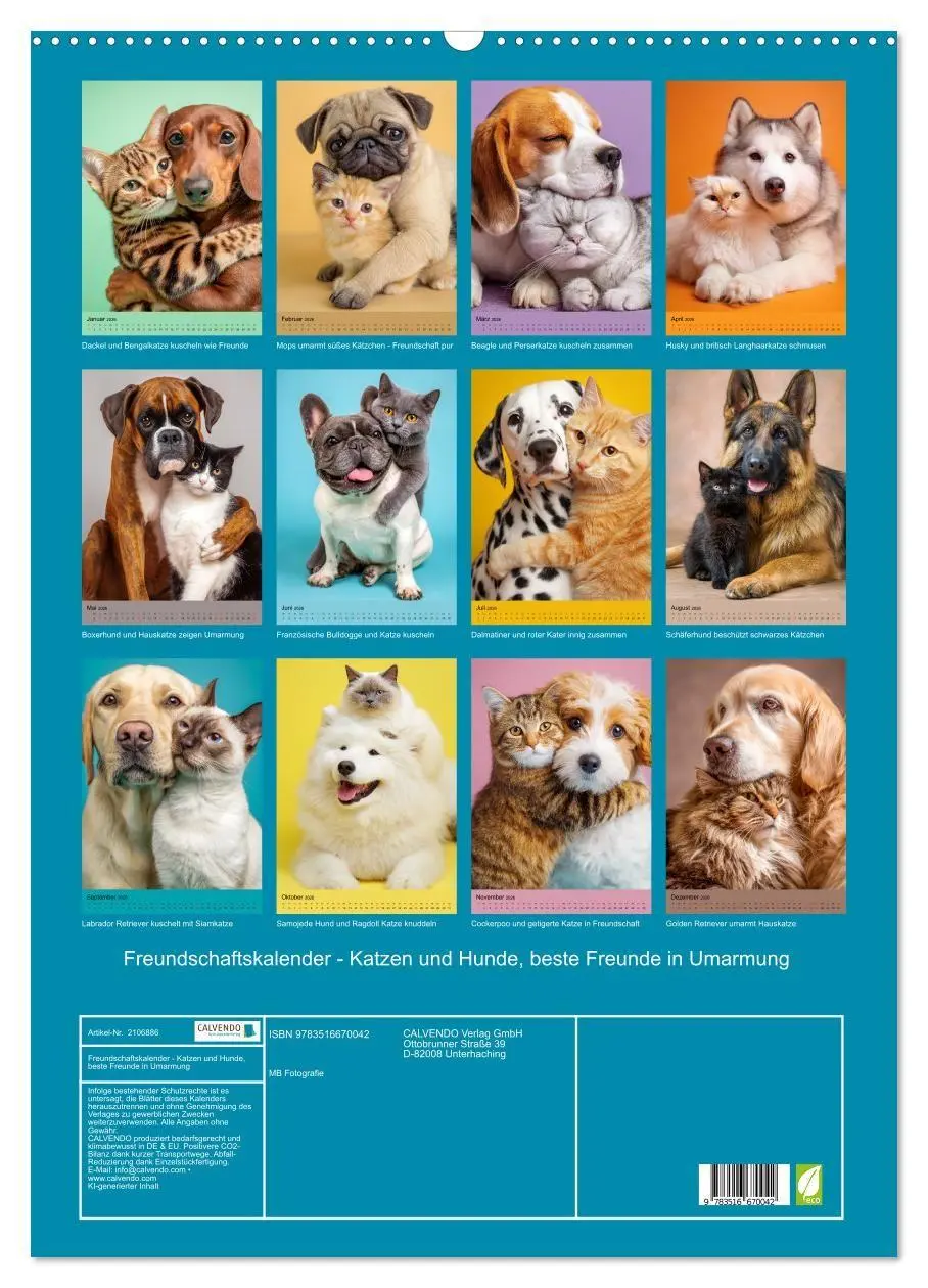 Bild: 9783516670042 | Freundschaftskalender - Katzen und Hunde, beste Freunde in Umarmung...