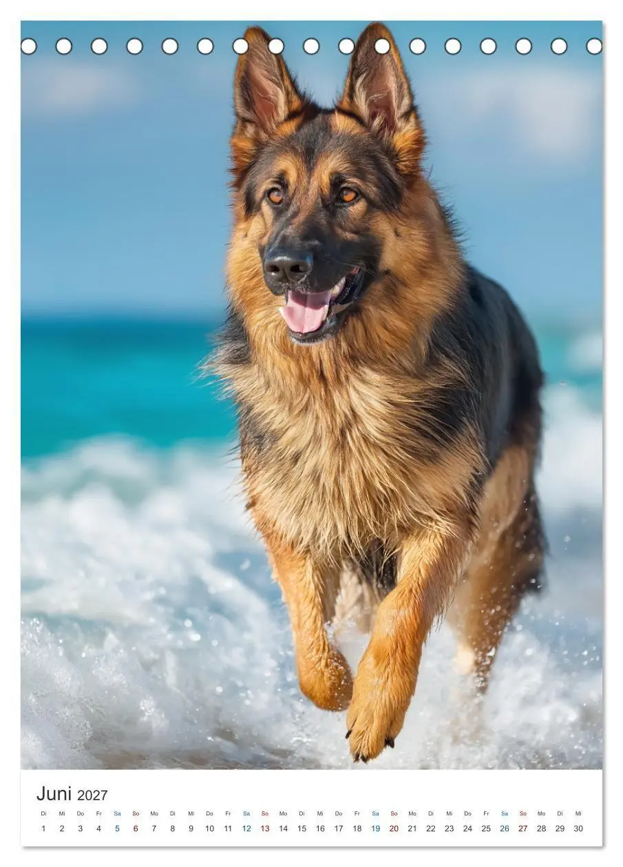 Bild: 9783516810042 | Seelenblick Schäferhund (Tischkalender 2027 DIN A5 hoch), CALVENDO...