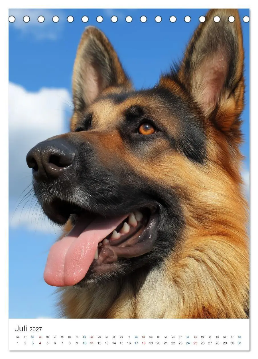 Bild: 9783516810042 | Seelenblick Schäferhund (Tischkalender 2027 DIN A5 hoch), CALVENDO...