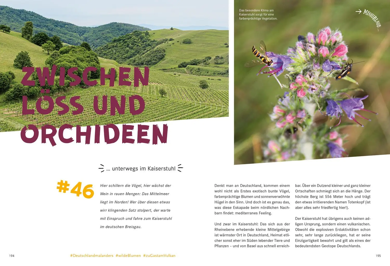 Bild: 9783616110042 | 52 kleine &amp; große Eskapaden in und um Basel | Ab nach draußen! | Buch