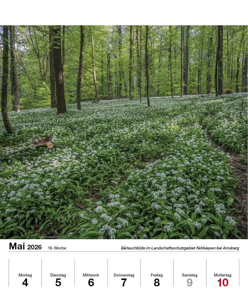 Bild: 9783910690042 | Schönes Sauerland 2026 | Holger Klaes | Kalender | 54 S. | Deutsch