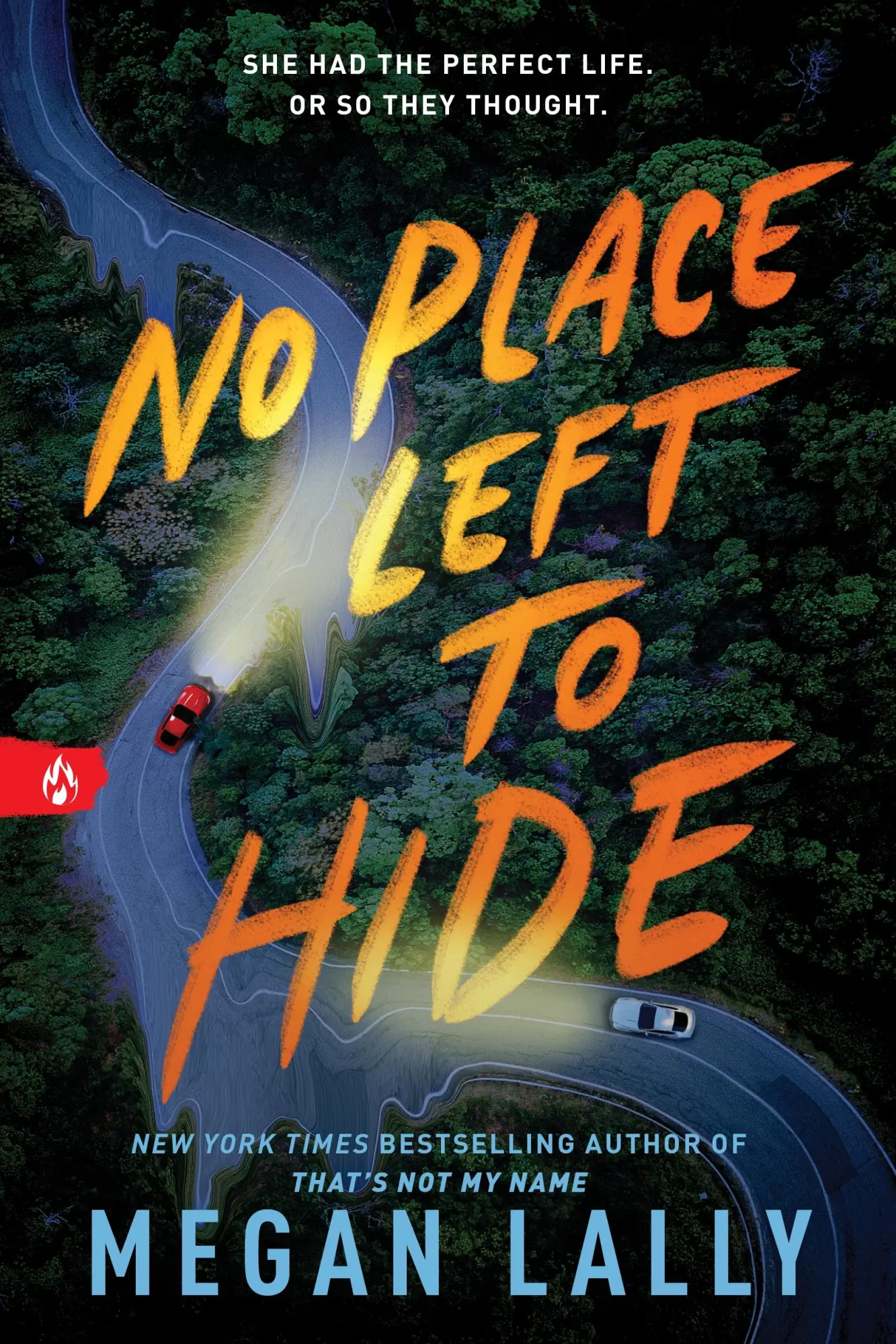 Cover: 9781728270142 | No Place Left to Hide | Megan Lally | Taschenbuch | Paperback | 2025