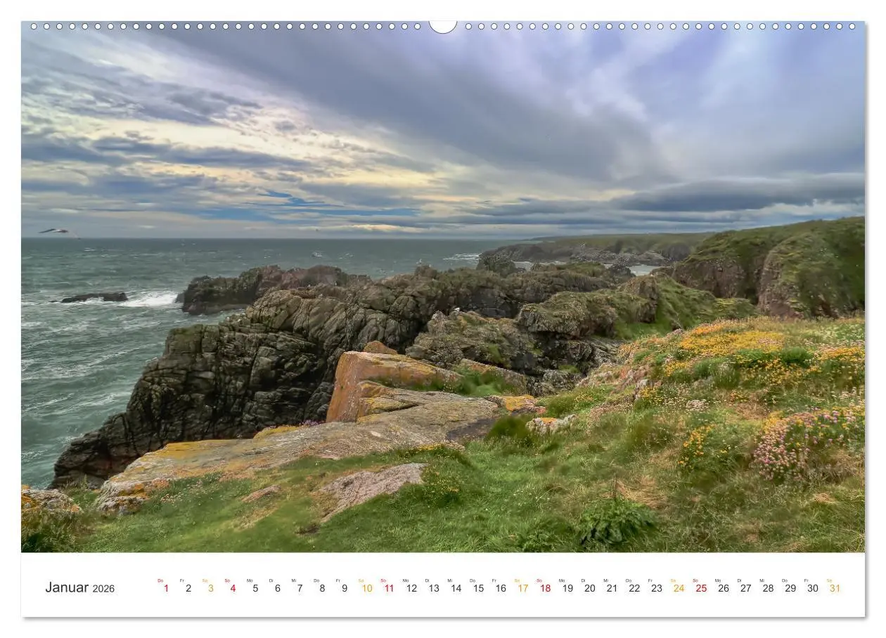 Bild: 9783457560242 | Typisch Schottland (Wandkalender 2026 DIN A2 quer), CALVENDO...