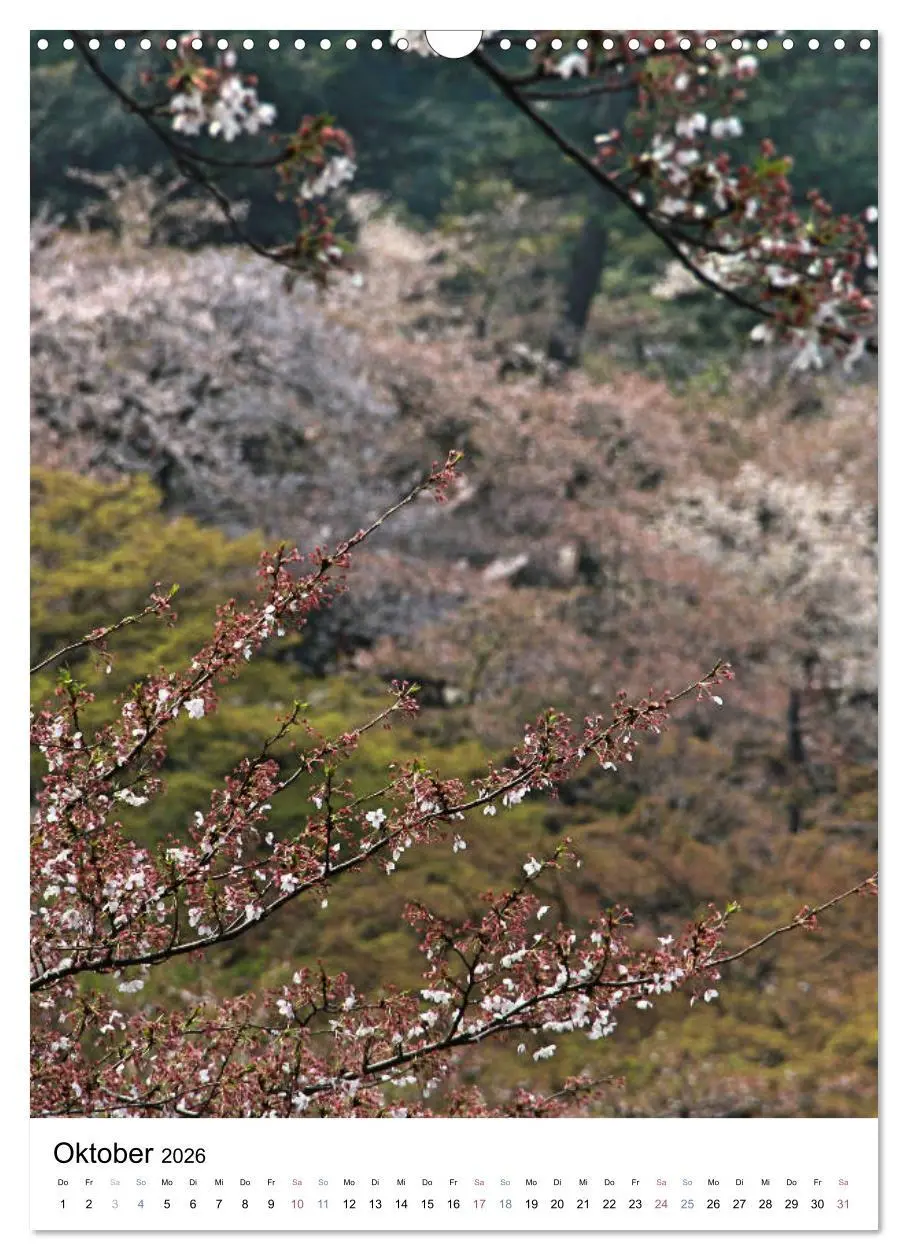 Bild: 9783516410242 | Japan - Kirschblüten (Wandkalender 2026 DIN A3 hoch), CALVENDO...